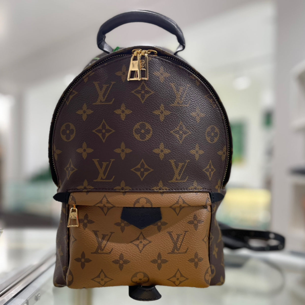 Louis Vuitton Palm Springs PM Backpack - Monogram Canvas & Reverse Monogram Canvas