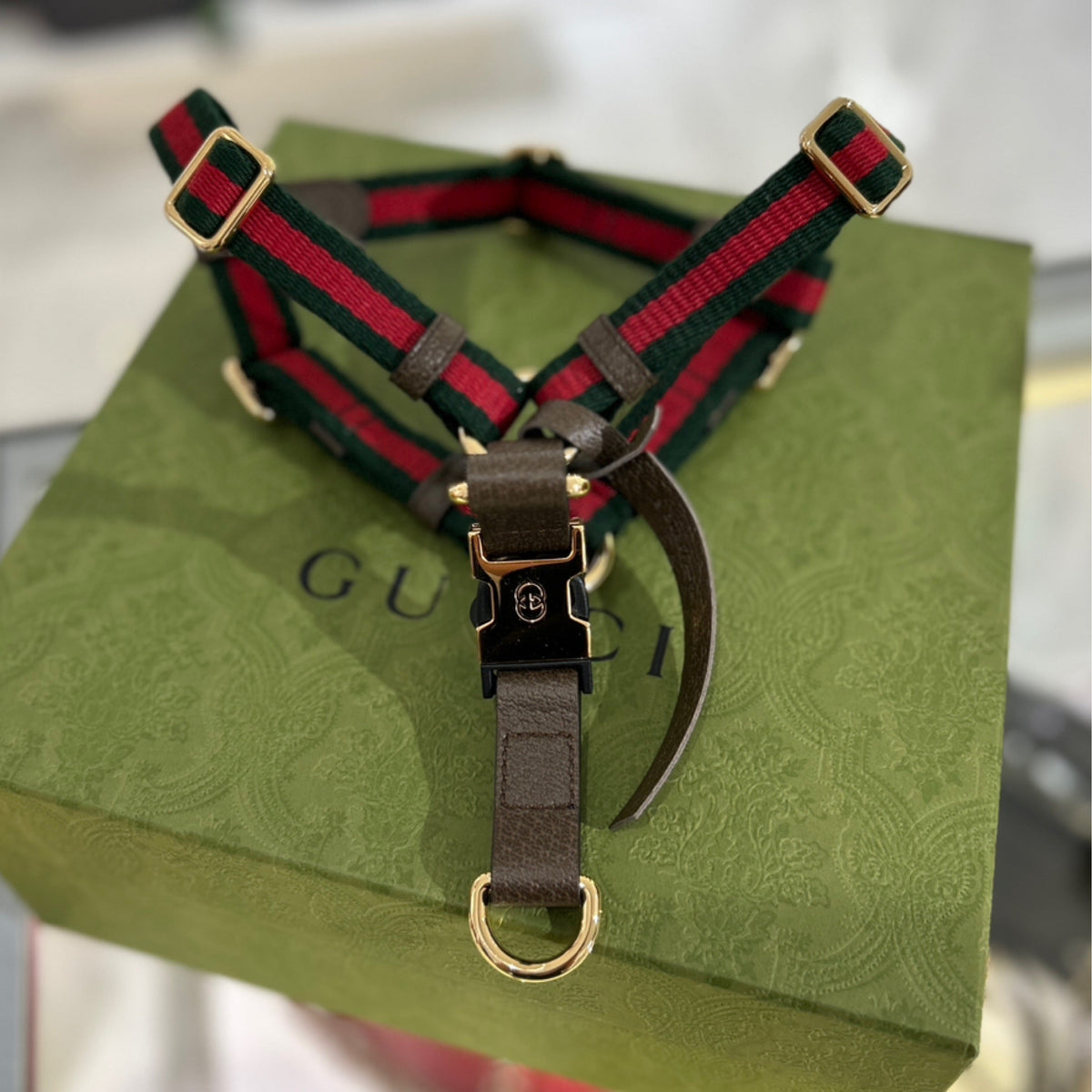 Gucci Web Pet Harness