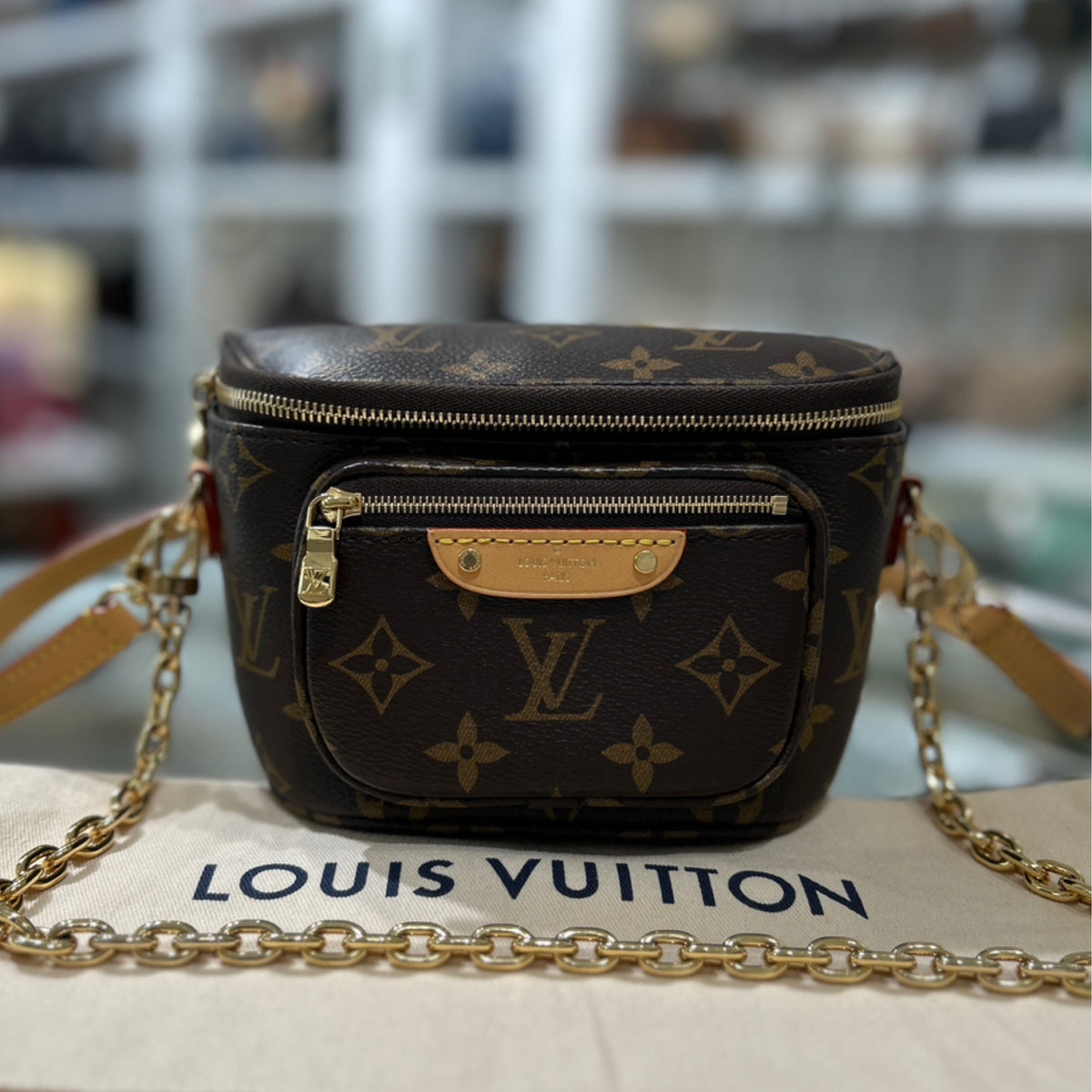 Louis Vuitton Mini Bumbag - Monogram Canvas