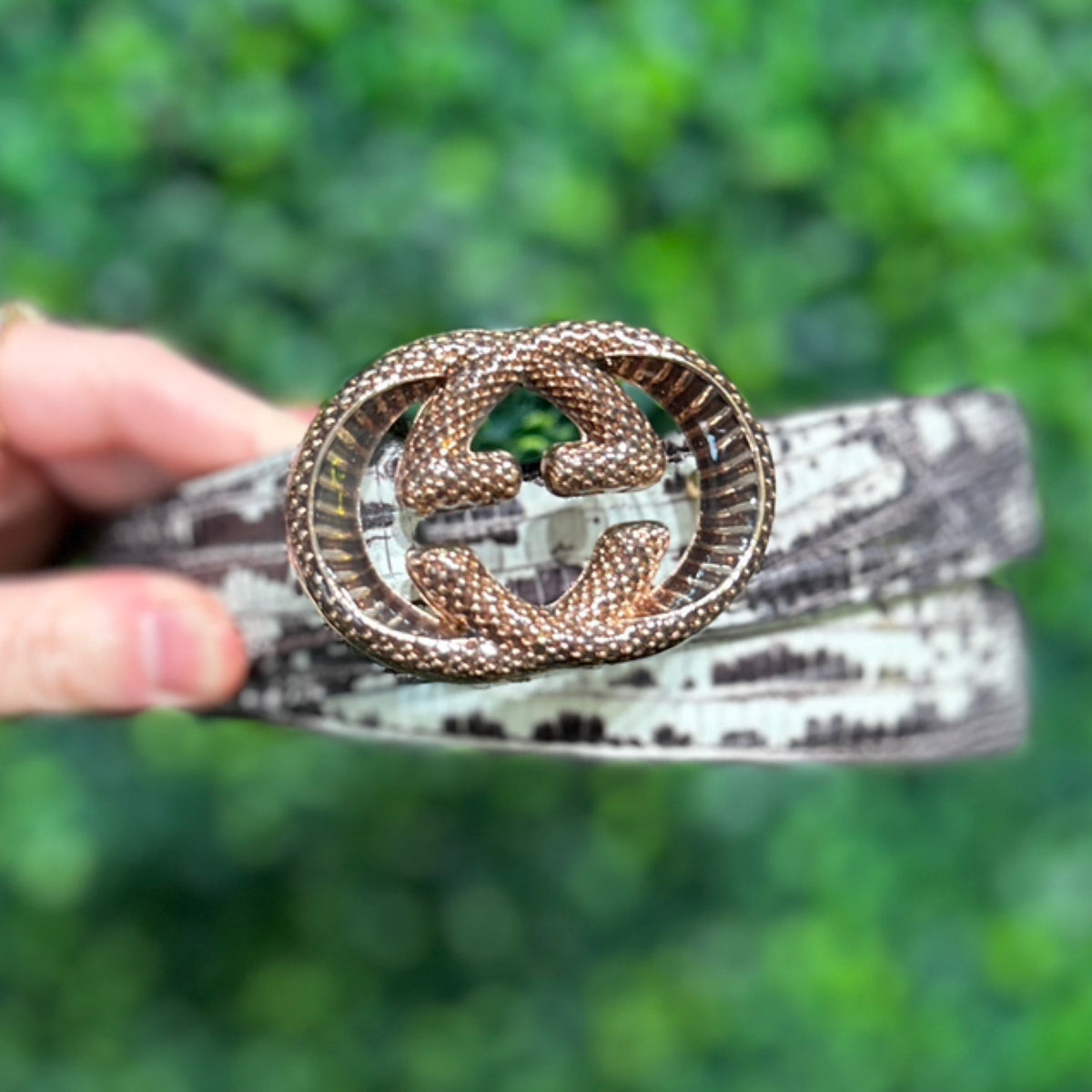 Gucci Limited Edition Python Belt (105cm)