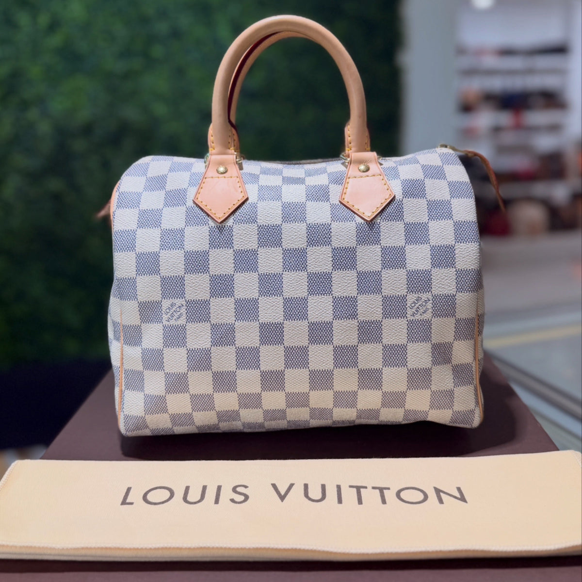 Louis Vuitton Speedy 25 - Damier Azur Canvas